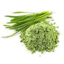 Wheat Grass Powder - Nutrient-Rich Superfood | Organic, Vegan, Gluten-Free, High in Chlorophyll