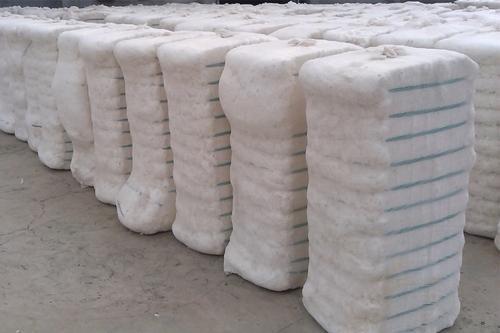 Raw Cotton Bales for Spinning