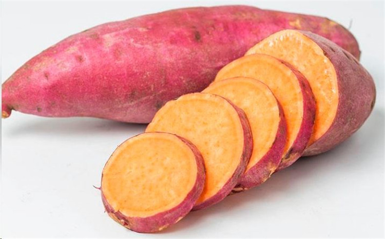 FC-301 cassava cutting machine cassava slicing machine cassava chip cutting machine