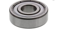 Low Temperature Bearings