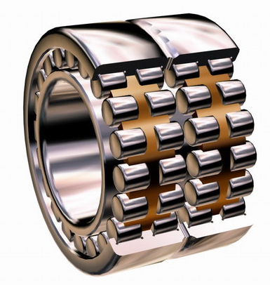 Double Raw Cylindrical Roller Bearing