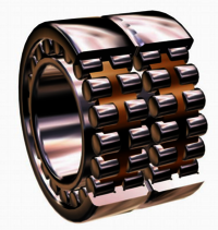 Double Raw Cylindrical Roller Bearing