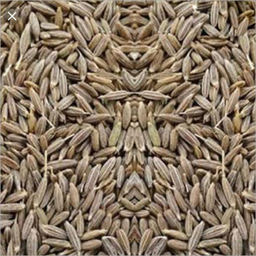 Cumin Seeds Grade: A Grade