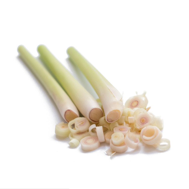 FC-305 automatic parsley cutting machine spring onion cutting machine