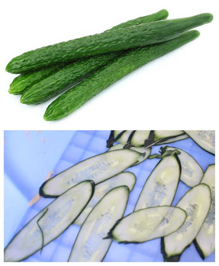 FC-305 automatic parsley cutting machine spring onion cutting machine