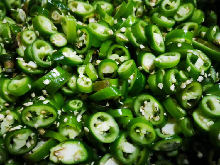 FC-305 automatic parsley cutting machine spring onion cutting machine