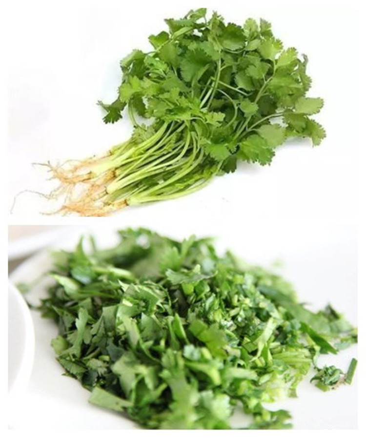 FC-306 Iceberg shred cutting machine Lettuce Cabbage spinach cutting machine