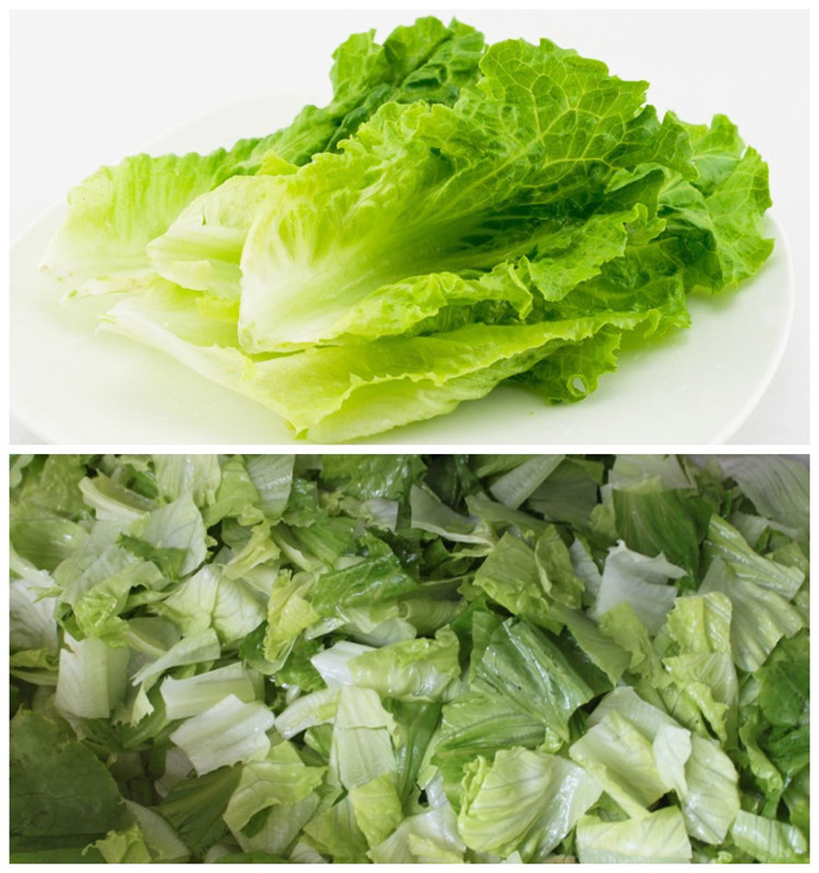 FC-306 Iceberg shred cutting machine Lettuce Cabbage spinach cutting machine