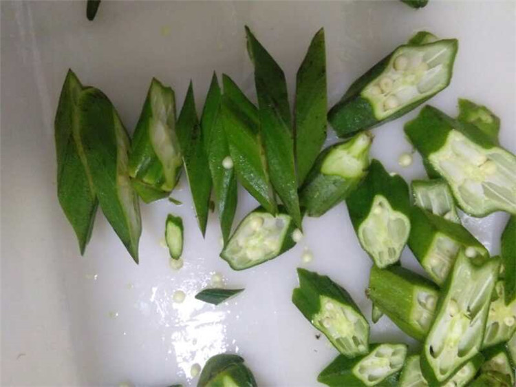 FC-306 Leafy vegetable cutting machine banana cutting machine pineapple chip cutting machine