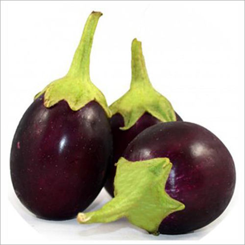 Everest Brinjal Seed