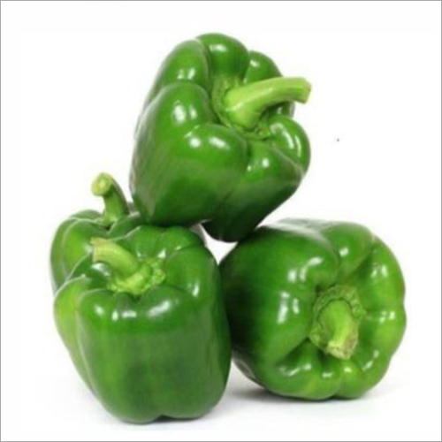 Princes Capsicum Seed By SCION BIOSEED OPC PRIVATE LIMITED
