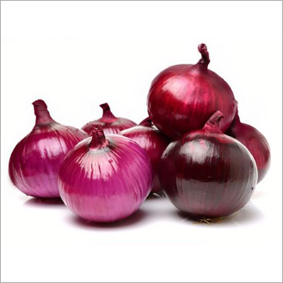 Fresh Onion Seed