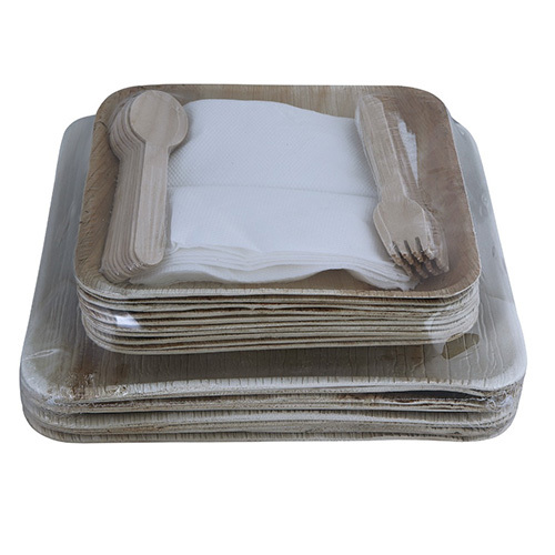 Square Areca Leaf Plate with Spoon and Folk Set