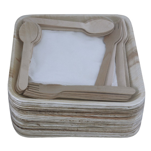Square Areca Leaf Plate and Spoon Set