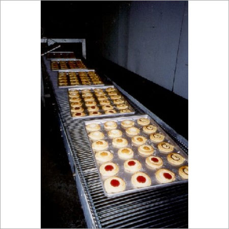 Industrial Ovens Conveyor