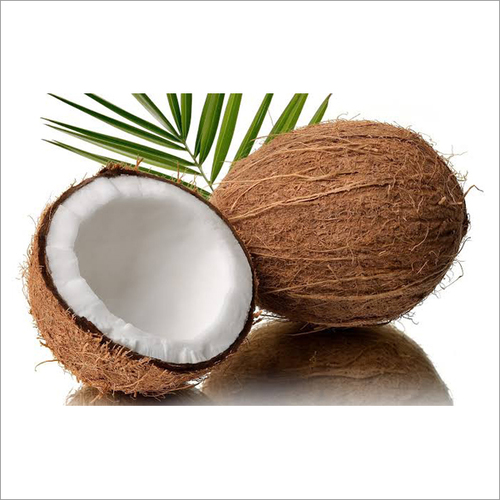 Husked Coconut - 10-15cm Size Range, 5-10mm Shell Thickness, Brown Color | Delicious, Hydrating, Natural, Organic, Sustainable, Versatile