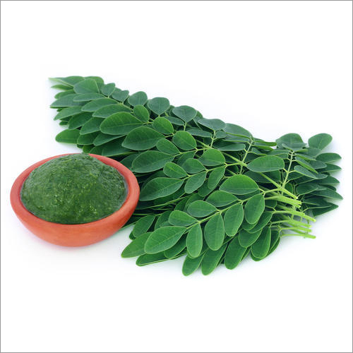 Moringa Leaf Grade: Organic