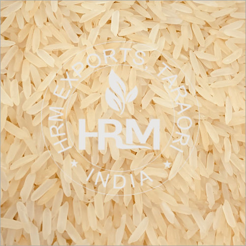 PR 14 Golden Rice