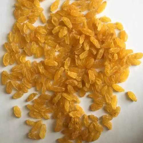 Golden Raisin - Dried Grape Berries, Golden Color, Sweet Taste, Moisture-Retaining | Ideal for Snacking and Baking Uses