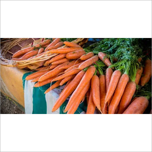 Fresh Carrots