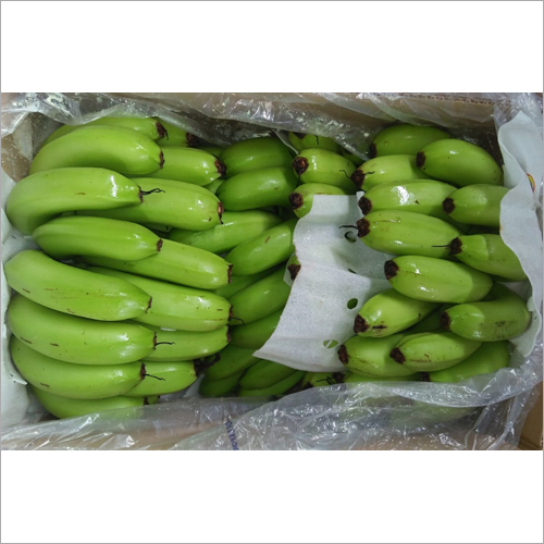 Fresh Banana By GURUDATTA AGRO EXPORTS