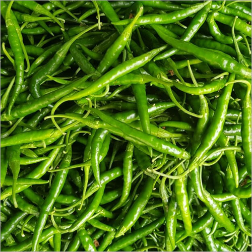 Fresh Green Chili