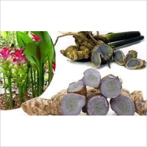 Natural Whole Black Turmeric Grade: A Grade