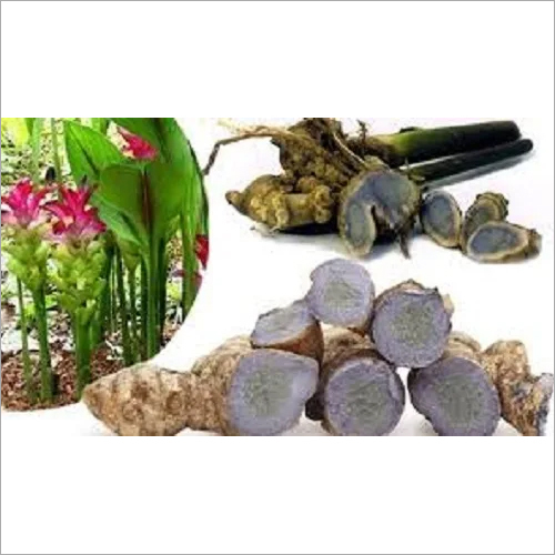 Black Color Turmeric Powder Grade: A Grade