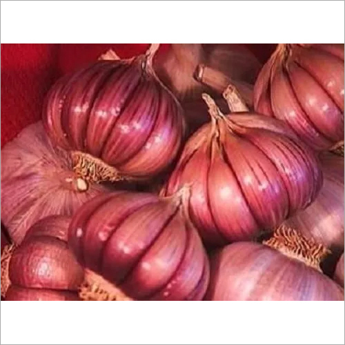 Purple Garlic - Organic Fresh Cloves | Natural Shape, Potent Medicinal Properties, Cholesterol Improving