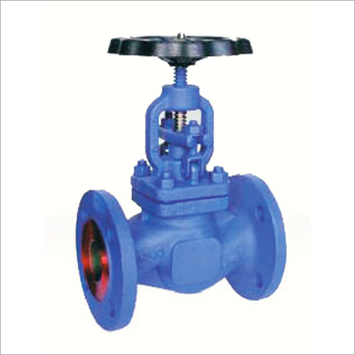 SS Globe Valve