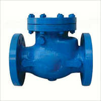 MS Swing Check Valve