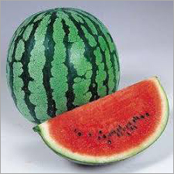 Organic Watermelon - Whole Fruit Fresh Sweet Taste Natural Shape Green Color Hydrating Skin Toner & Hair Moisturizer