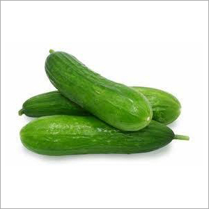 Organic Cucumber
