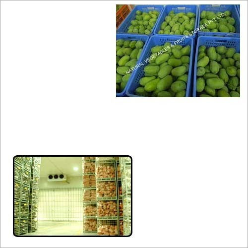 Mango Cold Storage For Agriculture Use Application: Industrial And Commercial