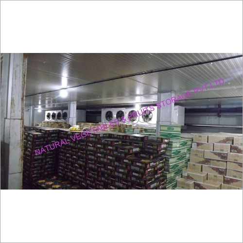 Quick Freeze Cold Storage