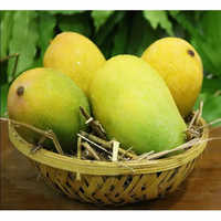 Langra Mango - Organic, Fresh Whole Mango With Greenish Hints | Sweet And Tart Taste, Ideal For Cutting And Canning