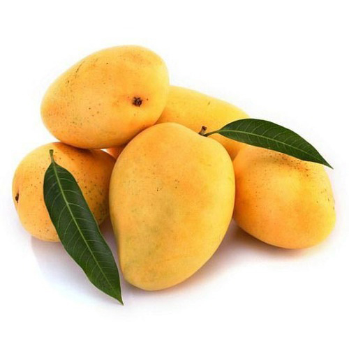 Yellow Mangoes - Organic Fresh Whole Mangoes | Naturally Shaped, Sweet Taste, Premium Variety