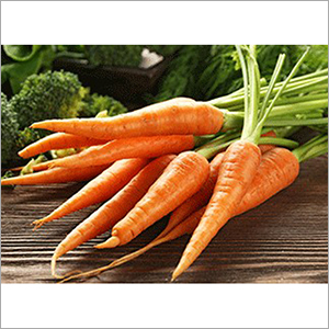 Fresh Carrot