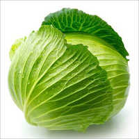 Organic Cabbage - Natural Shape, Fresh Style | Organic For Food Export Market, Worldwide Availability