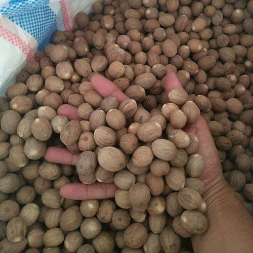 Raw Areca Nut