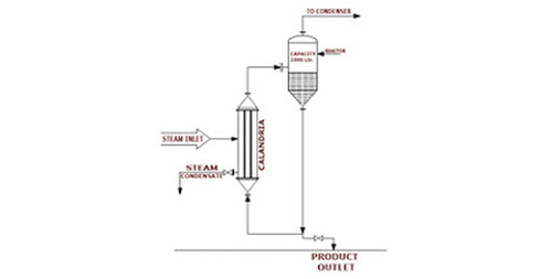 Natural Circulation Evaporators