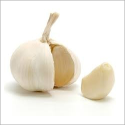 Garlic Clove