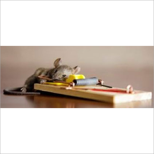 Rodent Chemical Control Service