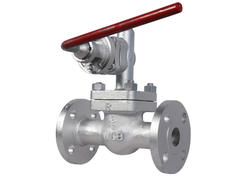 Cast Steel Blow Down Valves