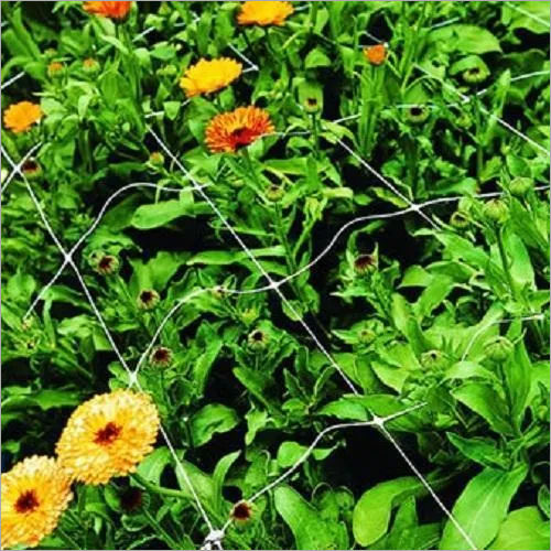 Chrysanthemum Flower Plant Support Net