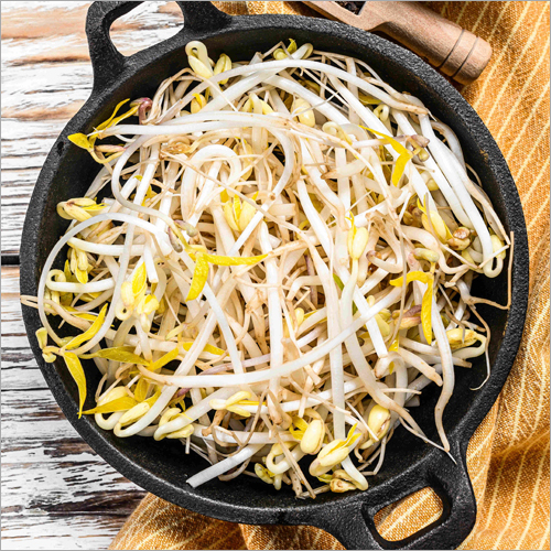 Fresh & Healthy Bean Sprouts