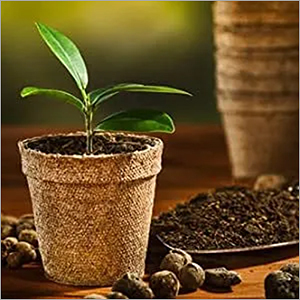 Coir Garden 4 Inch Round Coir Pot