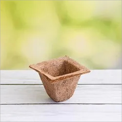 Coir Garden 6 Inch Spanish Coir Pot
