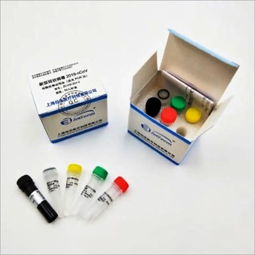 Real Time Fluorescent RT - PCR Test Kit By WUXI HONGJING INTERNATIONAL TRADING CO.,LTD.