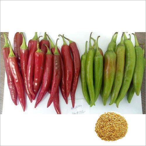 Red Hybrid Chilli Seeds 2130